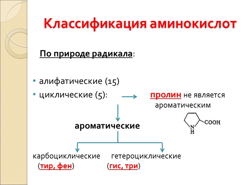Классификация аминокислот По природе радикала:  алифатические (15) циклические (5):    